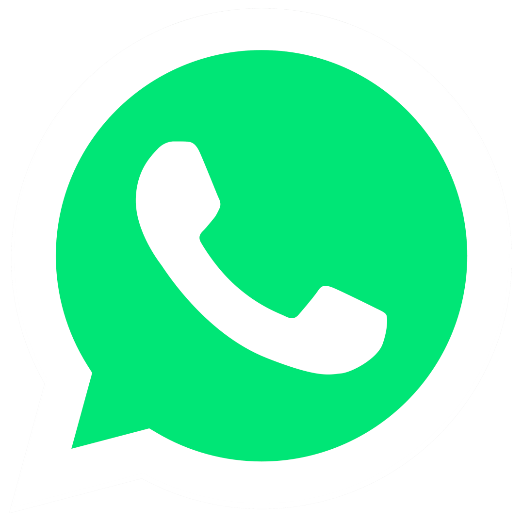 whatspp octa8888